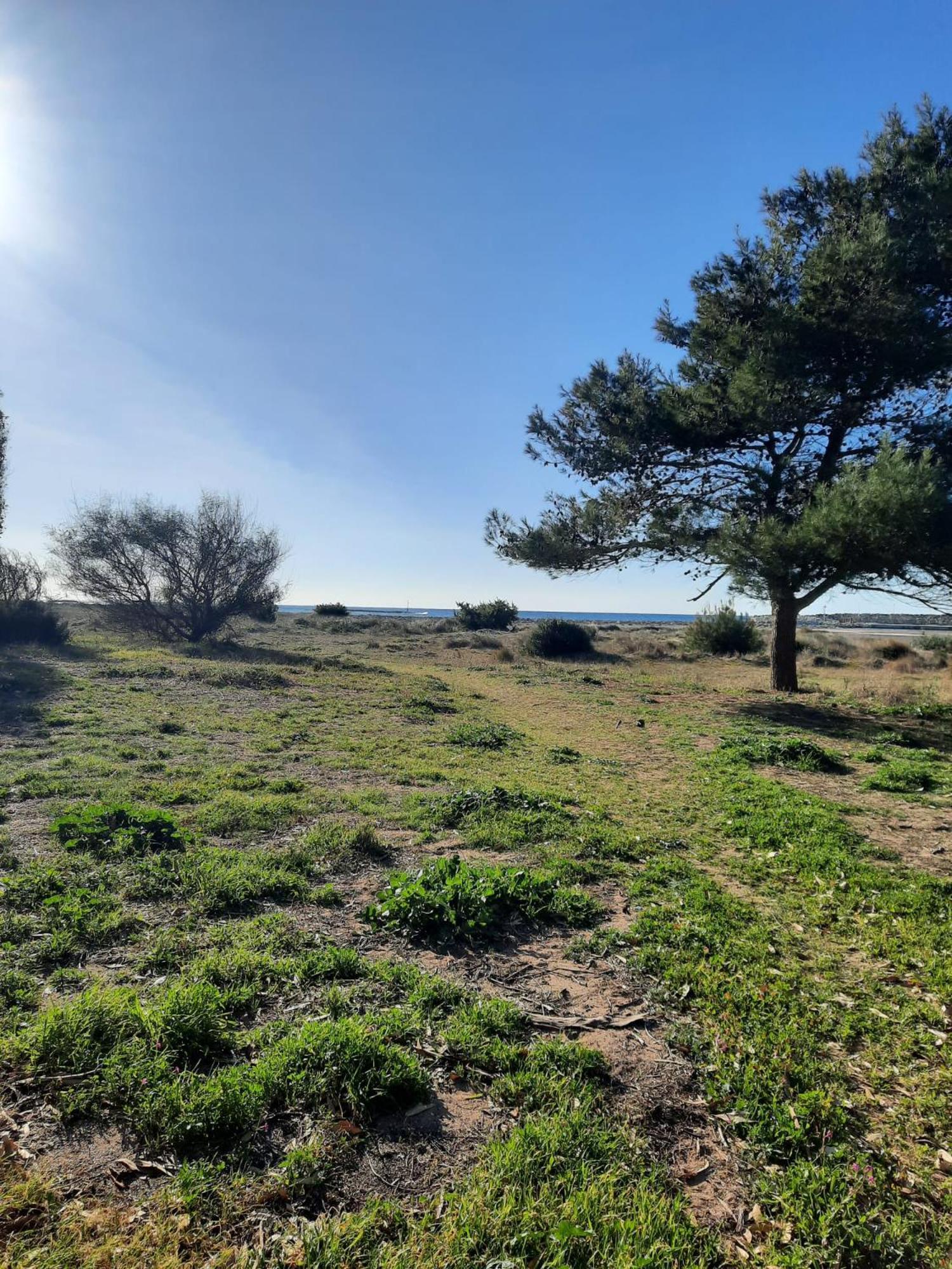 Apartament Fronte Mare Torre San Giovanni Ugento Zewnętrze zdjęcie